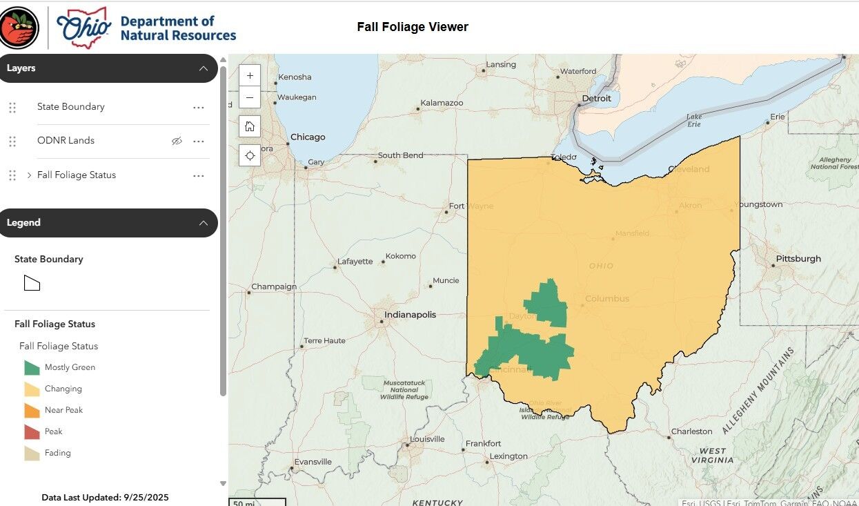 Fall Foliage Map